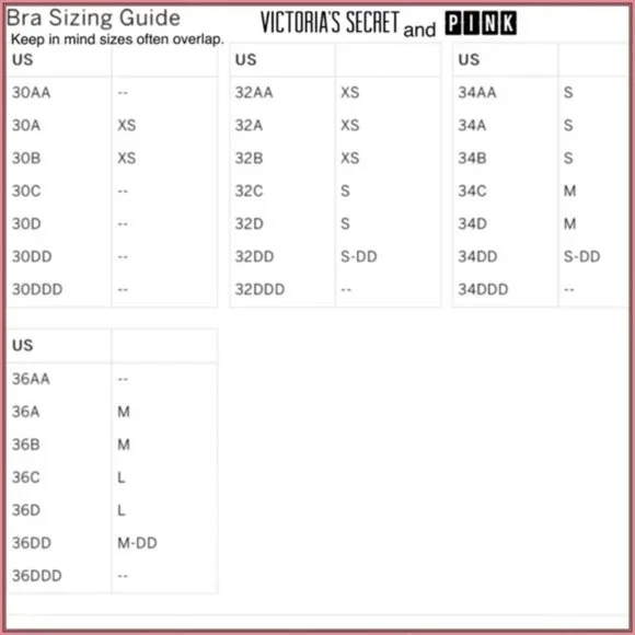 nwt Victoria's Secret bralette bra lingerie lace dragon embroidery design - Picture 8 of 12